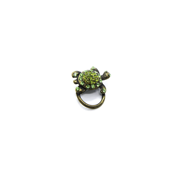 Broche Tartaruga Verde Personalizado